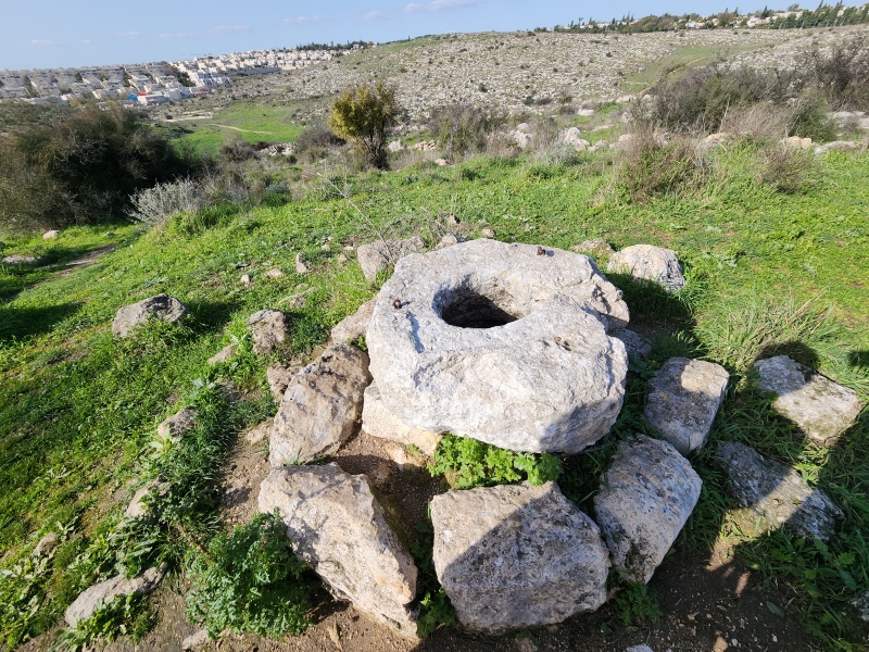 קובץ:2023-02-10T14 48 04.046848344743.jpg