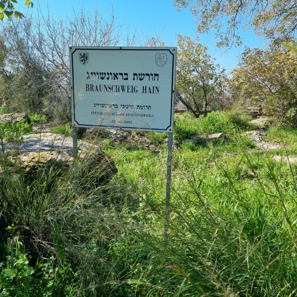 קובץ:2023-02-18T13 04 06.491930562292.jpg