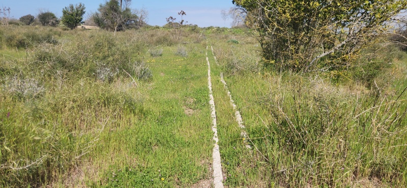 קובץ:2023-02-24T12 50 15.177896134453.jpg