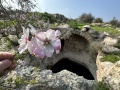 תמונה ממוזערת לגרסה מתאריך 05:48, 17 במרץ 2023