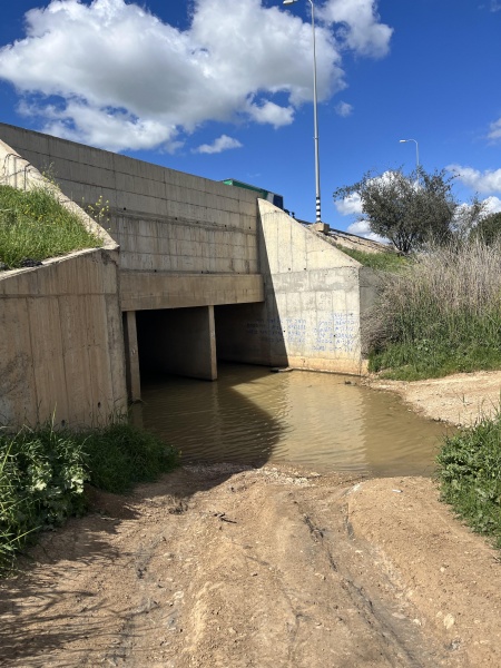 קובץ:2023-03-08T17 48 55.442805862513.jpg