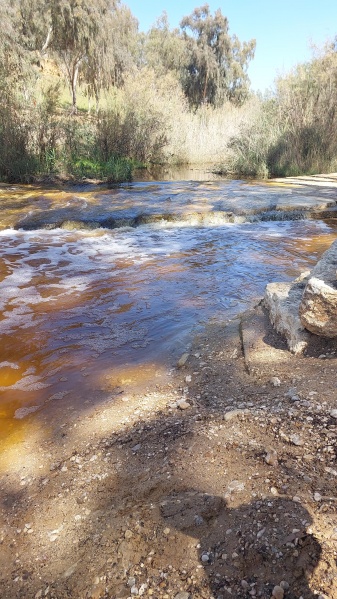 קובץ:2023-03-16T11 44 10.610006462035.jpg