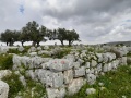 תמונה ממוזערת לגרסה מתאריך 11:01, 26 במרץ 2023