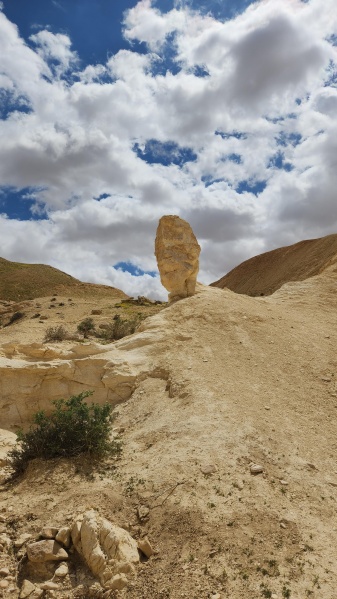 קובץ:2023-03-31T13 38 13.348932715698.jpg