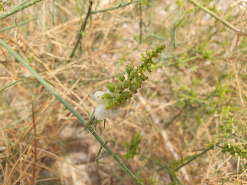 קובץ:2023-04-11T15 29 32.138997889439.jpg