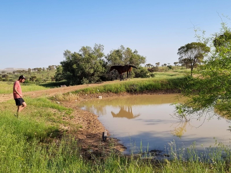 קובץ:2023-04-18T17 53 59.071555855106.jpg