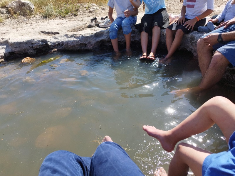 קובץ:2023-04-26T15 21 11.662363520534.jpg