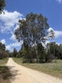 תמונה ממוזערת לגרסה מתאריך 10:39, 29 באפריל 2023