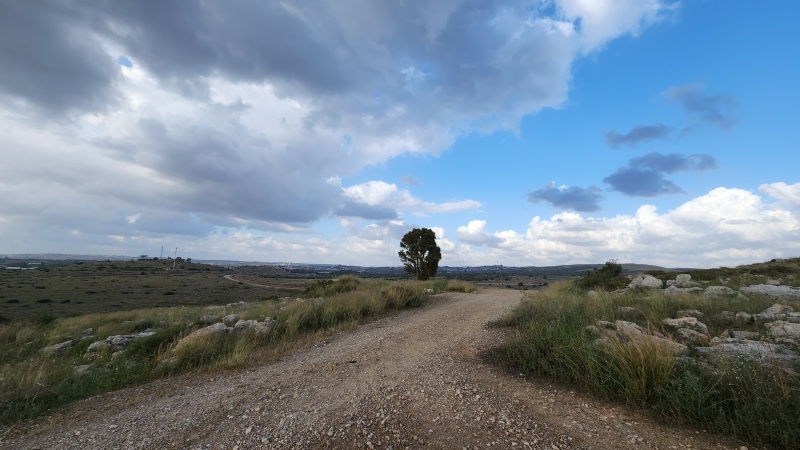 קובץ:2023-04-29T17 24 14.309772645447.jpg