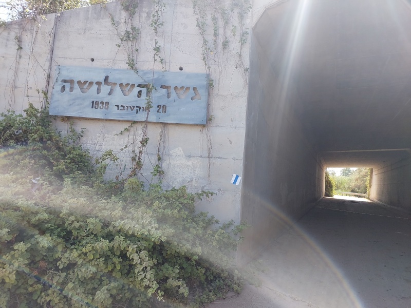 קובץ:2023-05-17T10 08 02.873134153121.jpg