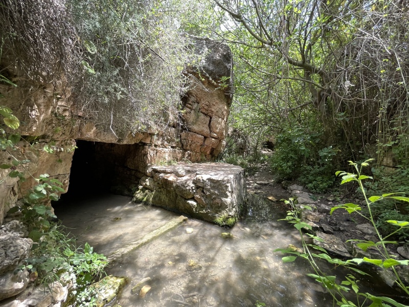 קובץ:2023-05-19T13 47 32.652959543367.jpg