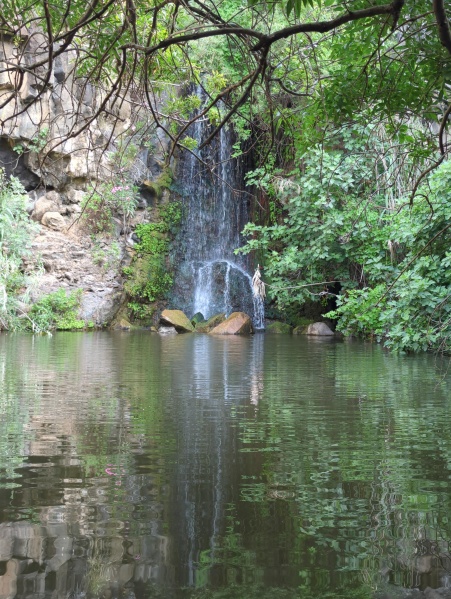 קובץ:2023-05-25T07 23 26.867919978749.jpg