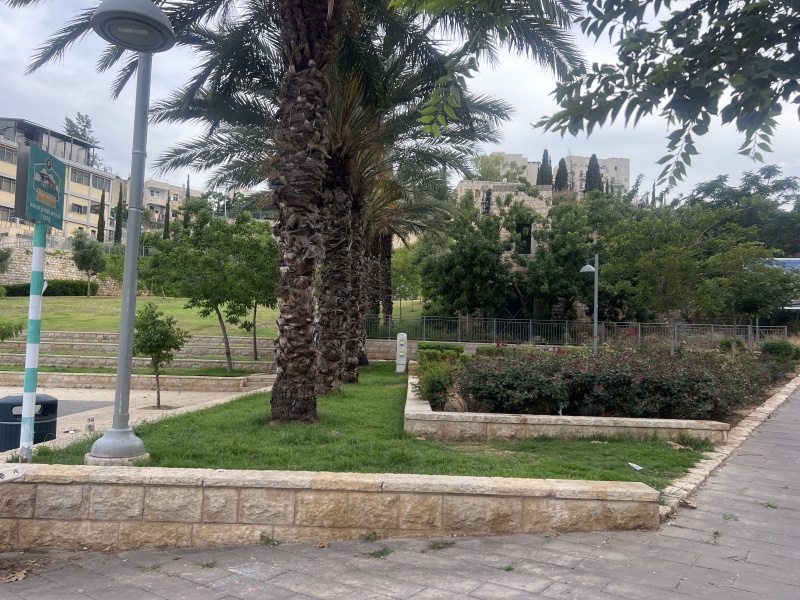 קובץ:2023-06-01T18 09 27.368533616681.jpg