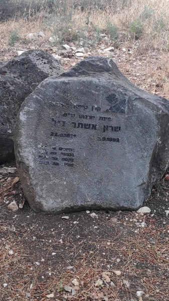 קובץ:2023-06-02T19 04 27.34319719230.jpg