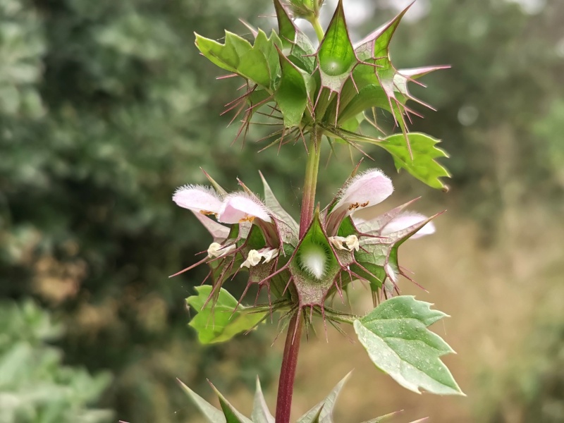 קובץ:2023-06-13T11 12 49.016862311514.jpg