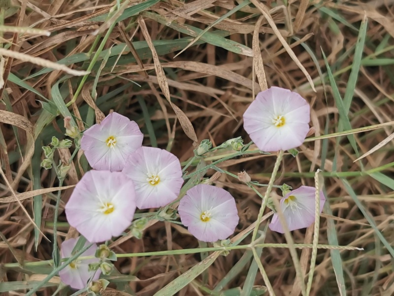 קובץ:2023-06-19T08 19 31.396855101053.jpg