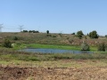 תמונה ממוזערת לגרסה מתאריך 09:34, 25 ביולי 2023