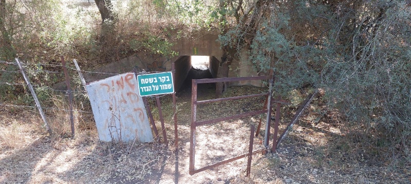 קובץ:2023-07-21T08 37 30.835796452189.jpg