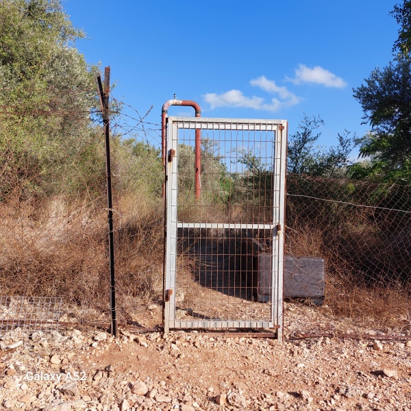 קובץ:2023-08-05T17 19 01.383199868991.jpg