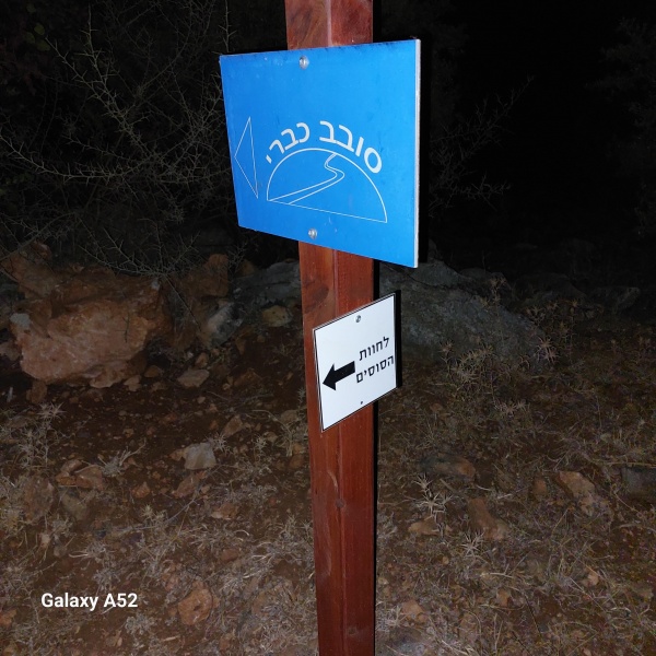 קובץ:2023-08-05T20 34 21.87020741518.jpg