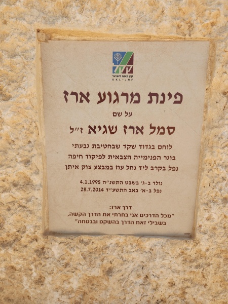 קובץ:2023-08-11T12 36 53.189999342383.jpg