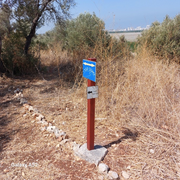 קובץ:2023-08-12T10 53 17.04092232695.jpg