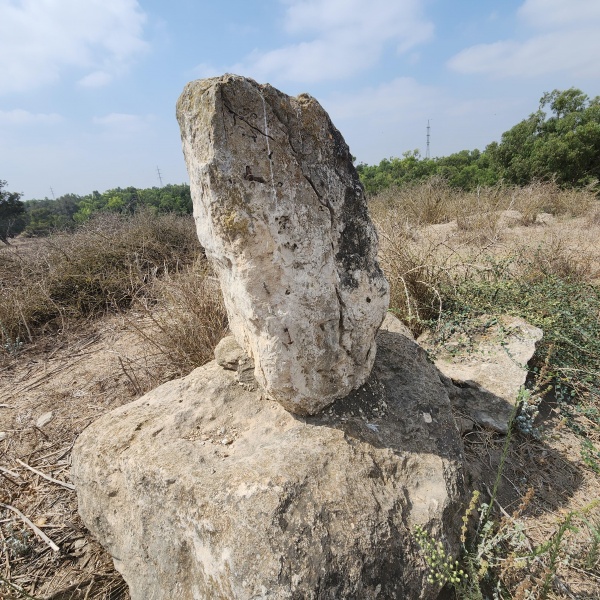 קובץ:2023-08-18T10 40 25.078603519413.jpg