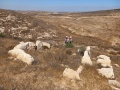 תמונה ממוזערת לגרסה מתאריך 07:33, 2 בספטמבר 2023