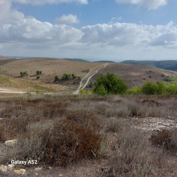 קובץ:2023-09-03T09 13 21.917023887225.jpg