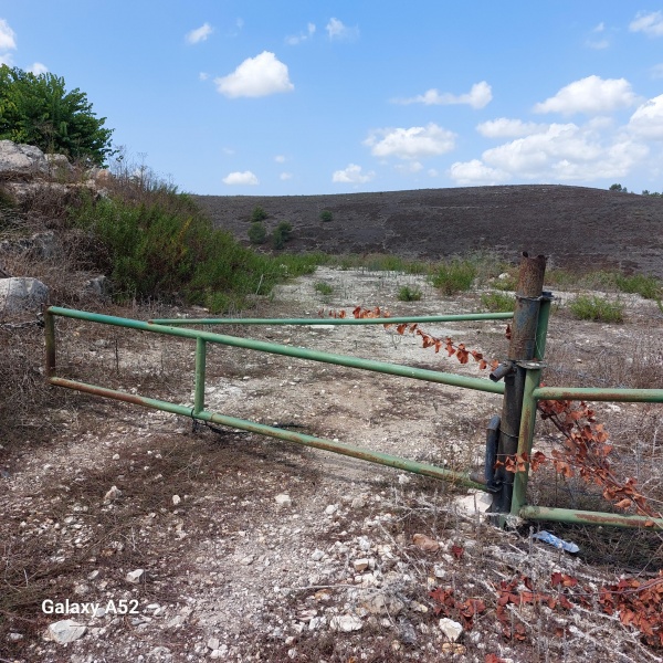 קובץ:2023-09-03T12 27 08.339539637428.jpg