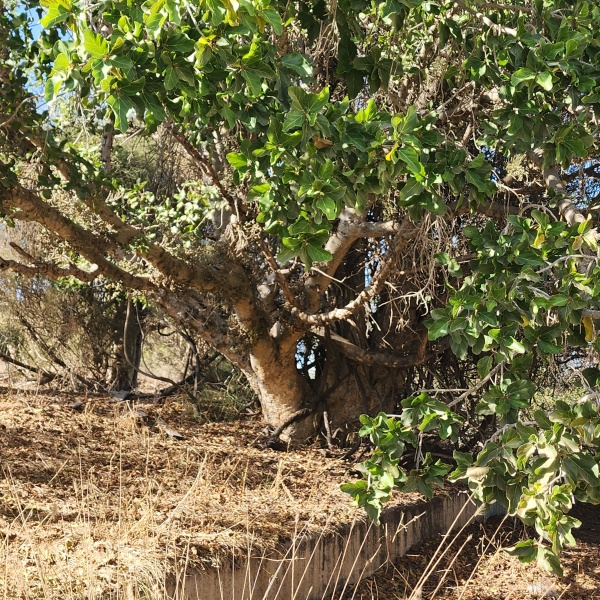 קובץ:2023-09-10T16 36 38.596790295711.jpg