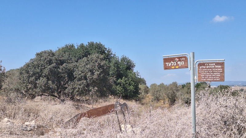 קובץ:2023-09-22T13 34 41.074626549792.jpg