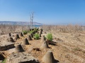 תמונה ממוזערת לגרסה מתאריך 17:11, 23 בספטמבר 2023