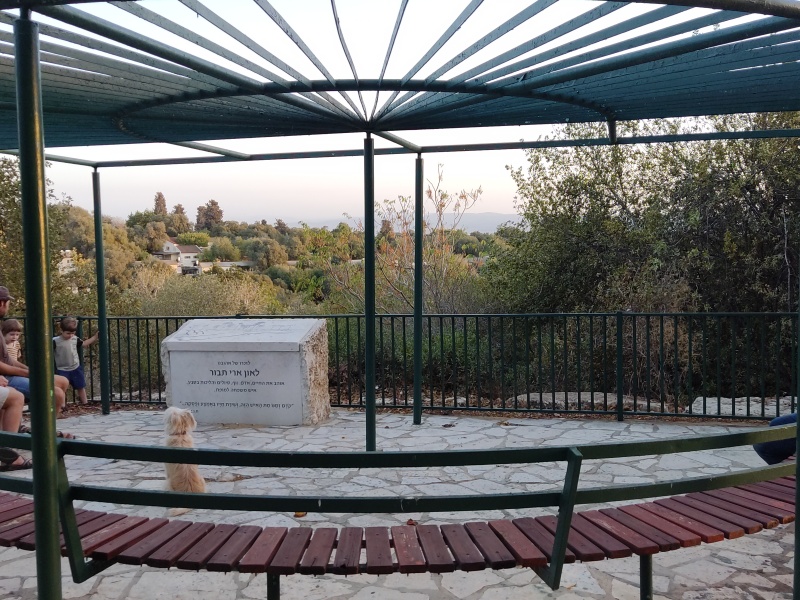 קובץ:2023-09-29T18 07 59.367968460361.jpg