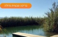 תמונה ממוזערת לגרסה מתאריך 08:47, 2 באוקטובר 2023