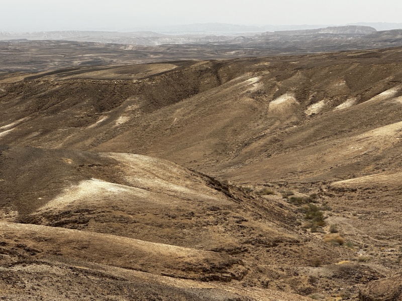 קובץ:2023-10-03T12 09 35.443144803603.jpg