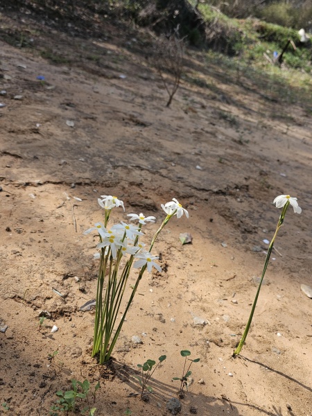 קובץ:2023-11-01T11 24 03.485062101410.jpg