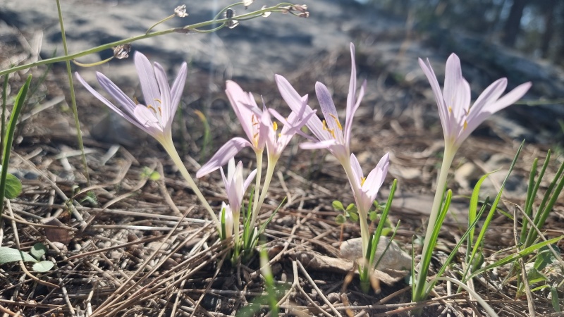 קובץ:2023-11-05T12 50 07.84366361652.jpg