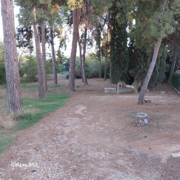 קובץ:2023-11-07T16 11 43.51061552251.jpg