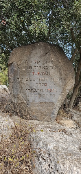 קובץ:2023-11-13T14 25 16.314420799770.jpg