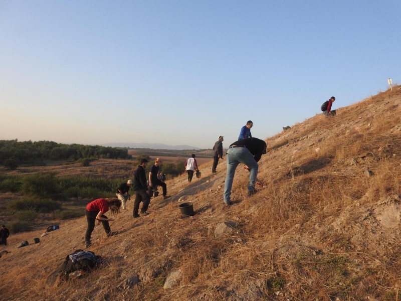 קובץ:2023-11-25T08 07 42.981149868135.jpg