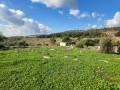 תמונה ממוזערת לגרסה מתאריך 18:14, 23 בינואר 2024