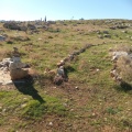 תמונה ממוזערת לגרסה מתאריך 13:05, 27 בפברואר 2024