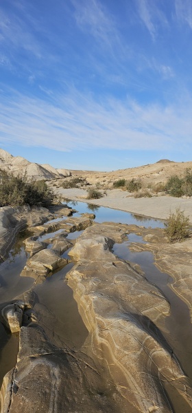 קובץ:2023-12-16T09 16 44.101913930332.jpg