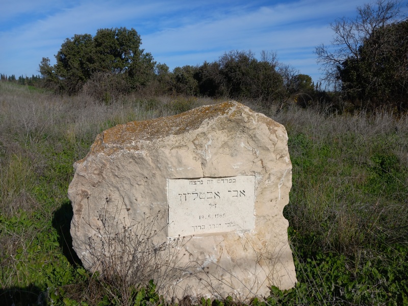 קובץ:2023-12-16T09 56 02.382537447531.jpg