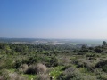 תמונה ממוזערת לגרסה מתאריך 13:40, 22 בינואר 2024