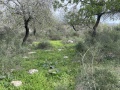 תמונה ממוזערת לגרסה מתאריך 06:22, 26 בינואר 2024