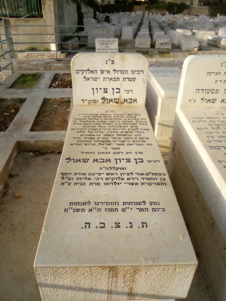 קובץ:2024-01-23T21 43 05.074642379877.jpg