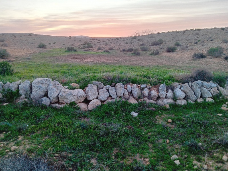 קובץ:2024-01-24T06 39 16.351074244761.jpg