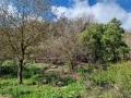 תמונה ממוזערת לגרסה מתאריך 12:46, 25 בפברואר 2024